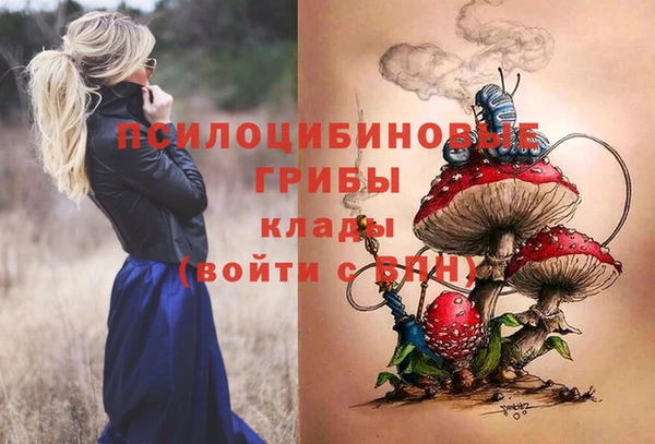 гидропоника Богданович