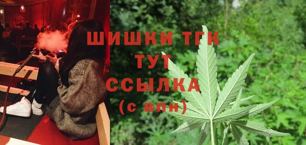 гидропоника Богданович