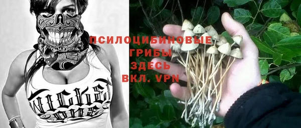 метадон Богородицк