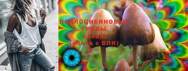 метадон Богородицк