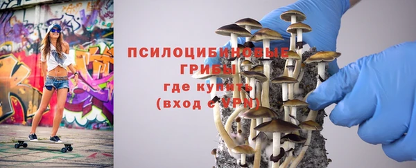 мдма Богородск